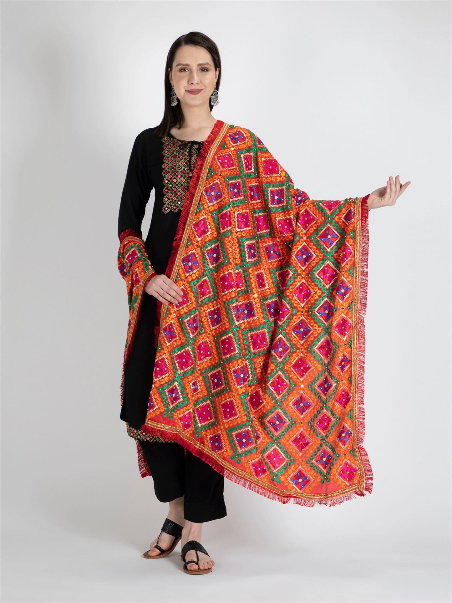 multicolor-phulkari-dupatta-with-mirror-work-mcmmpd4059-4