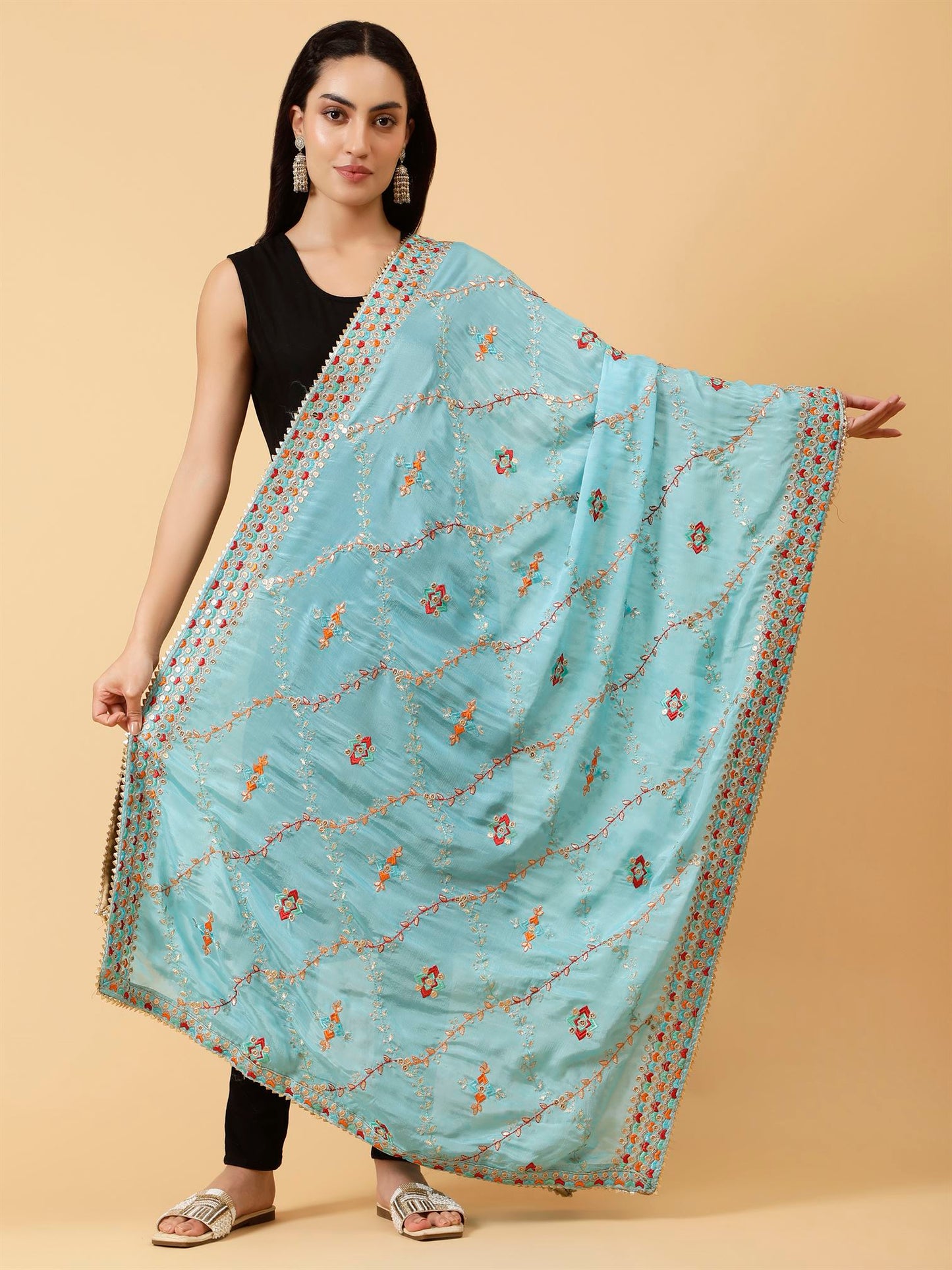 sky-blue-chinon-embroidery-dupatta-mcrcpd0225-moda-chales-1