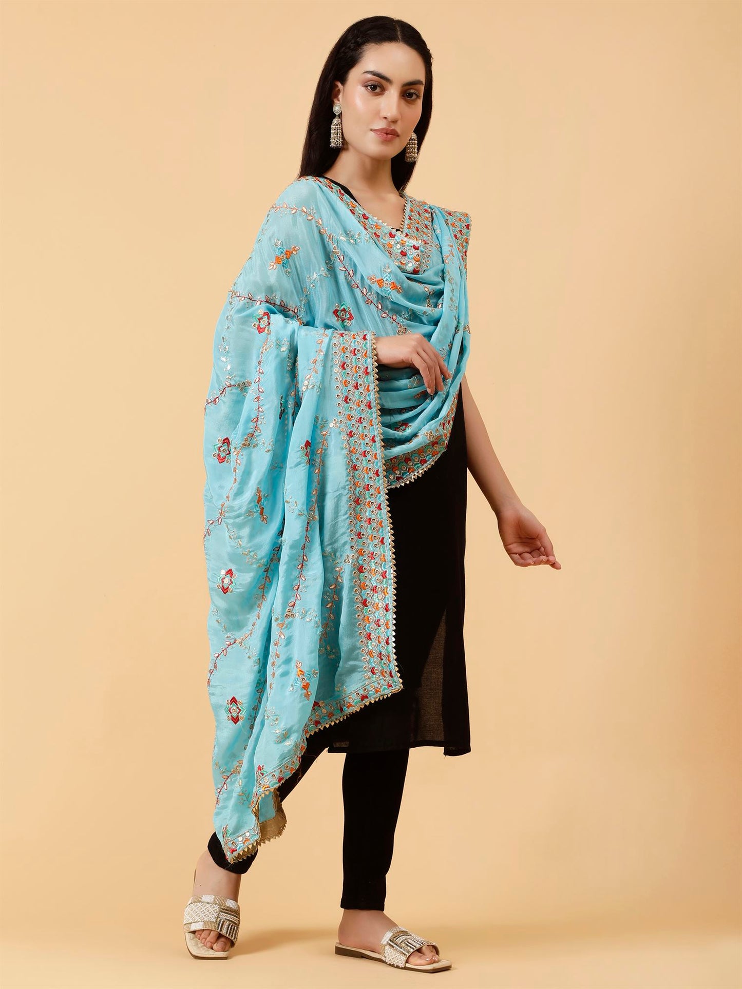 sky-blue-chinon-embroidery-dupatta-mcrcpd0225-moda-chales-3