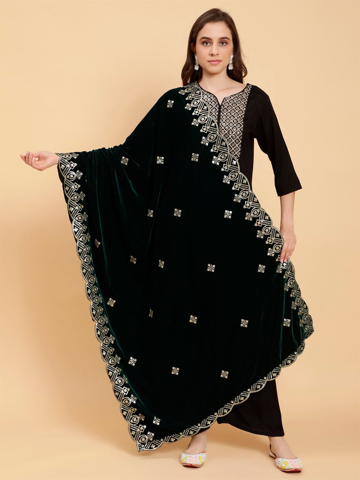 green-embellished-velvet-dupatta-MCRCVD7207