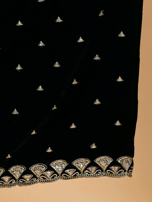 green-embellished-velvet-dupatta-MCRCVD7247