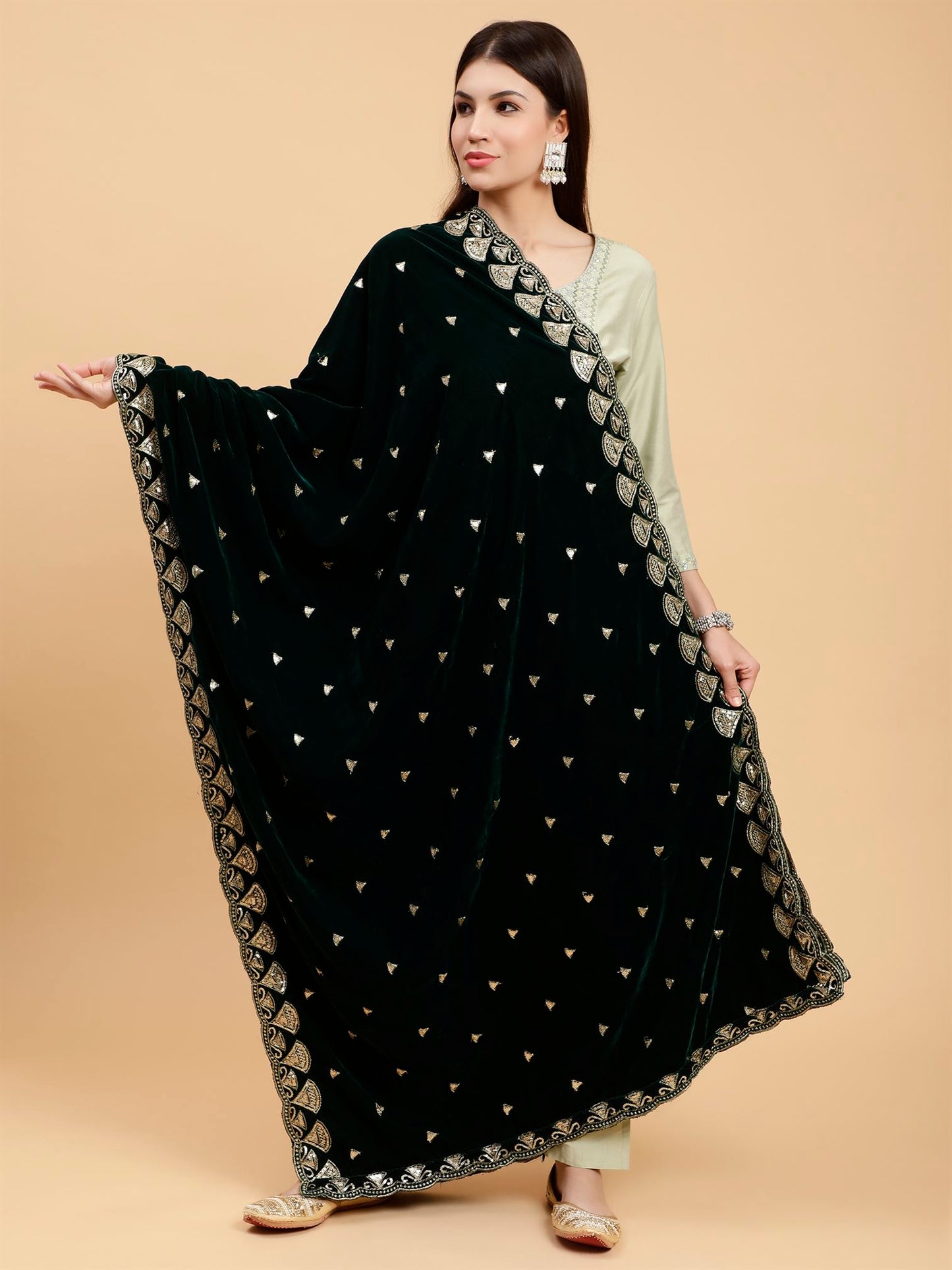 green-embellished-velvet-dupatta-mcrcvd7247-moda-chales-3