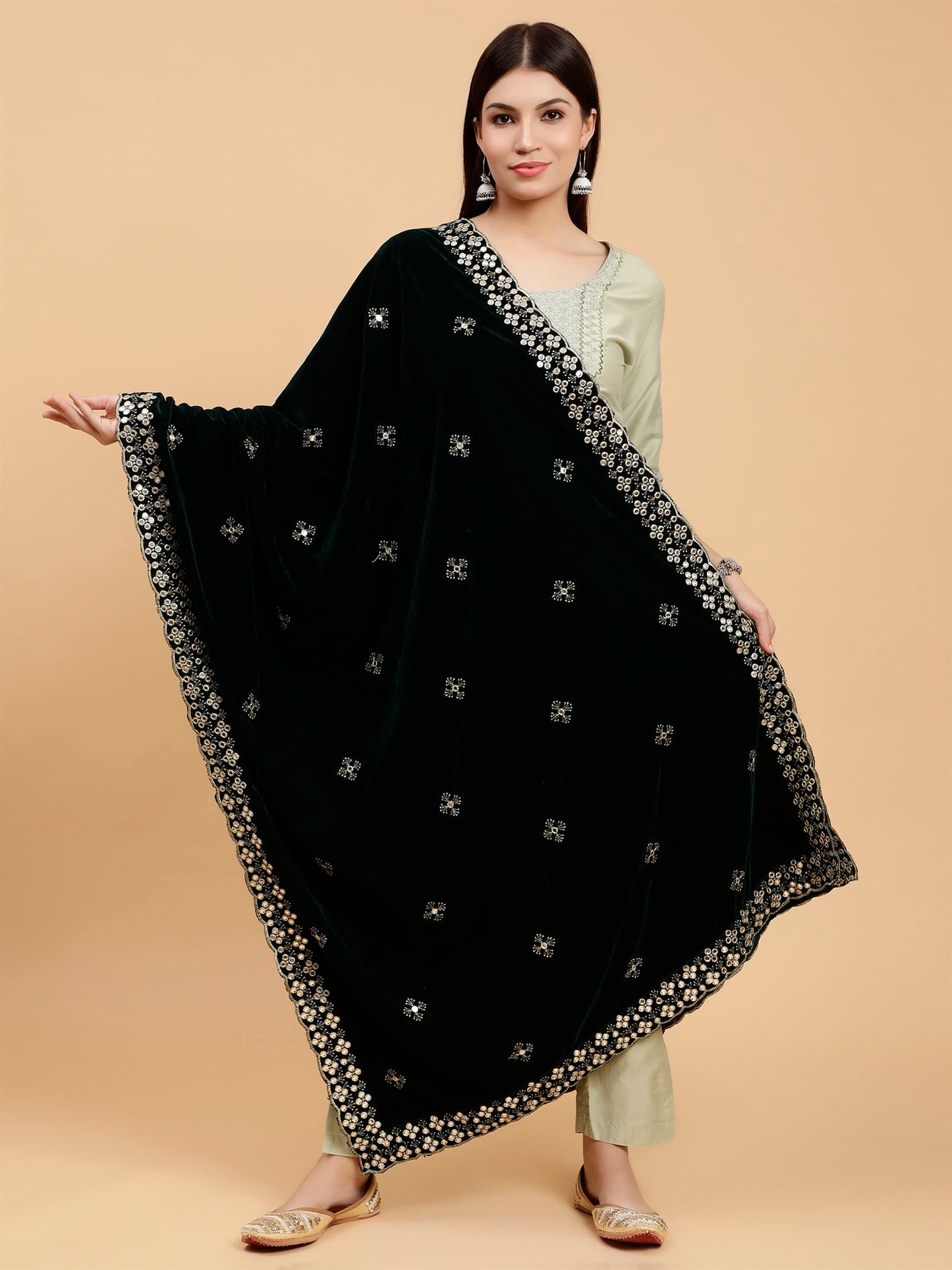 green-embellished-velvet-dupatta-MCRCVD7267