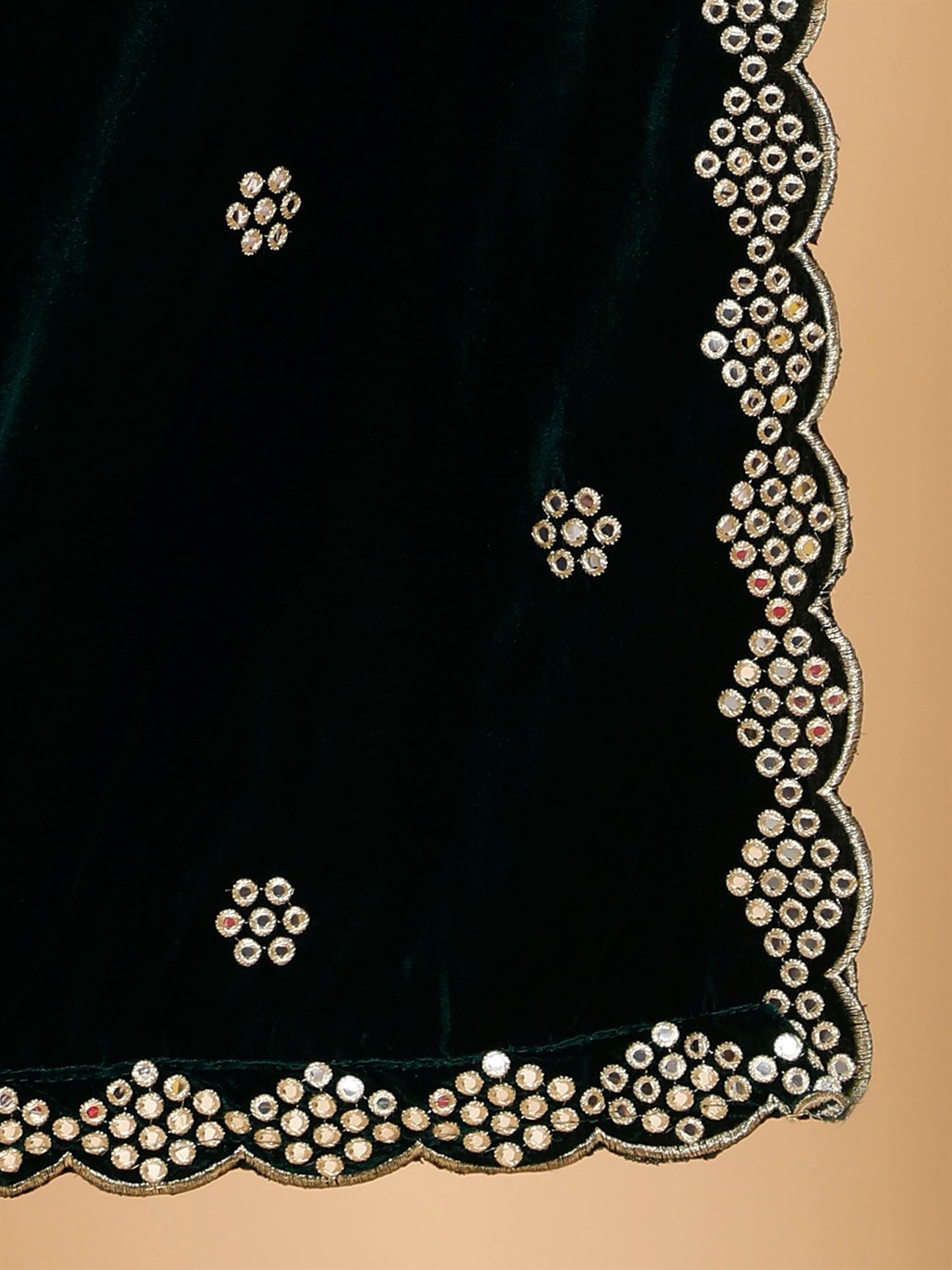 green-embellished-velvet-dupatta-mcrcvd7357-moda-chales-7