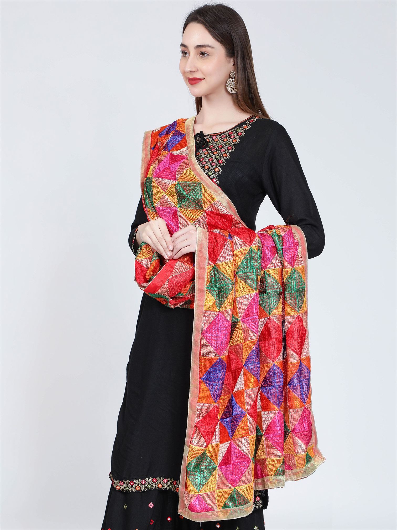 phulkari-multicoloured-bagh-dupatta-mcarpd4018a-4