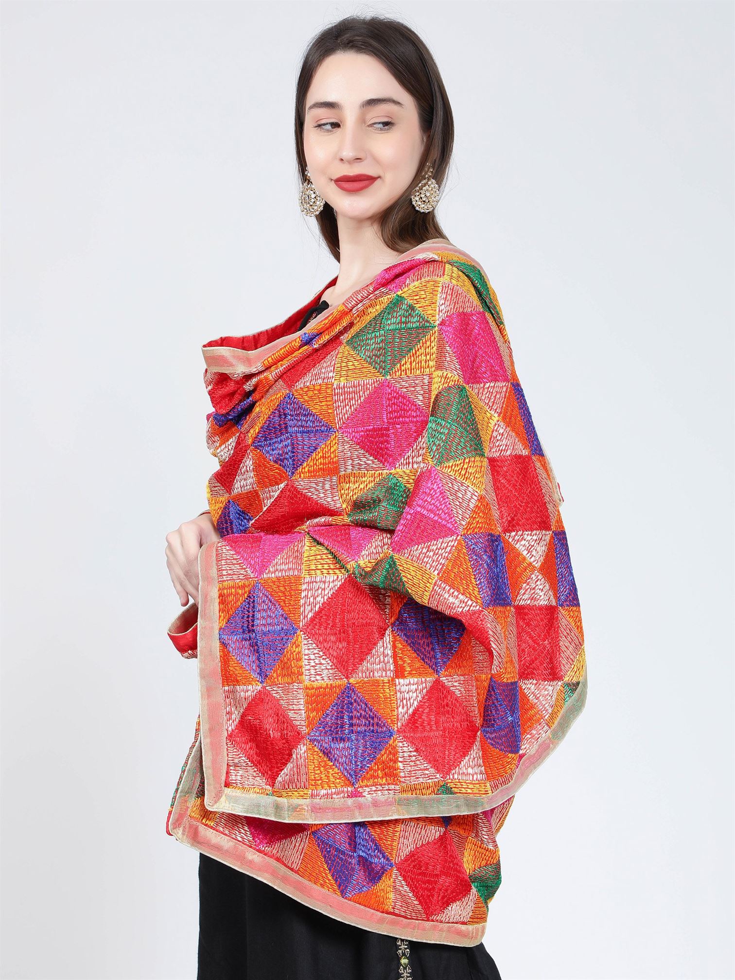 phulkari-multicoloured-bagh-dupatta-mcarpd4018a-6