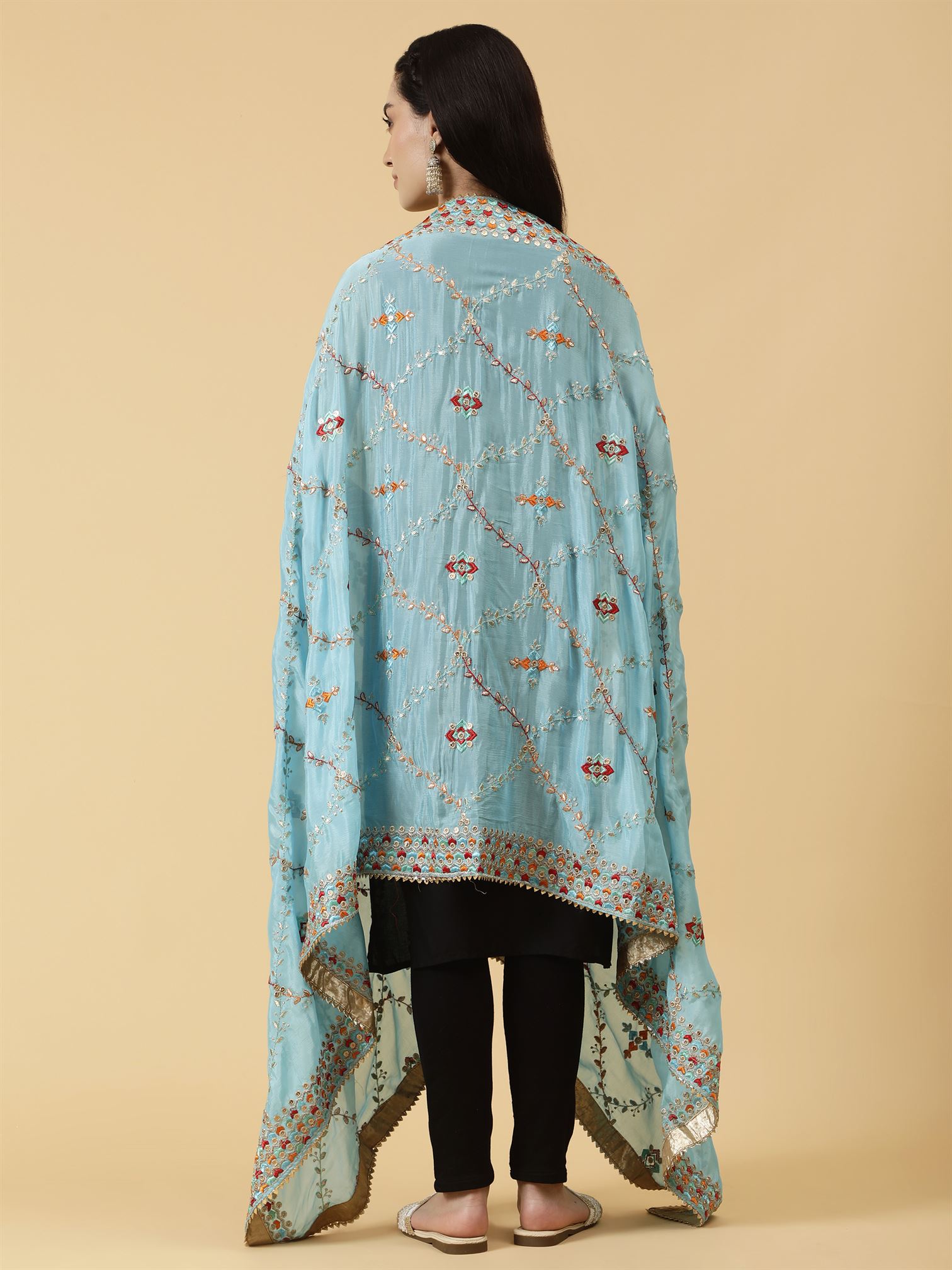 sky-blue-chinon-embroidery-dupatta-mcrcpd0225-moda-chales-4