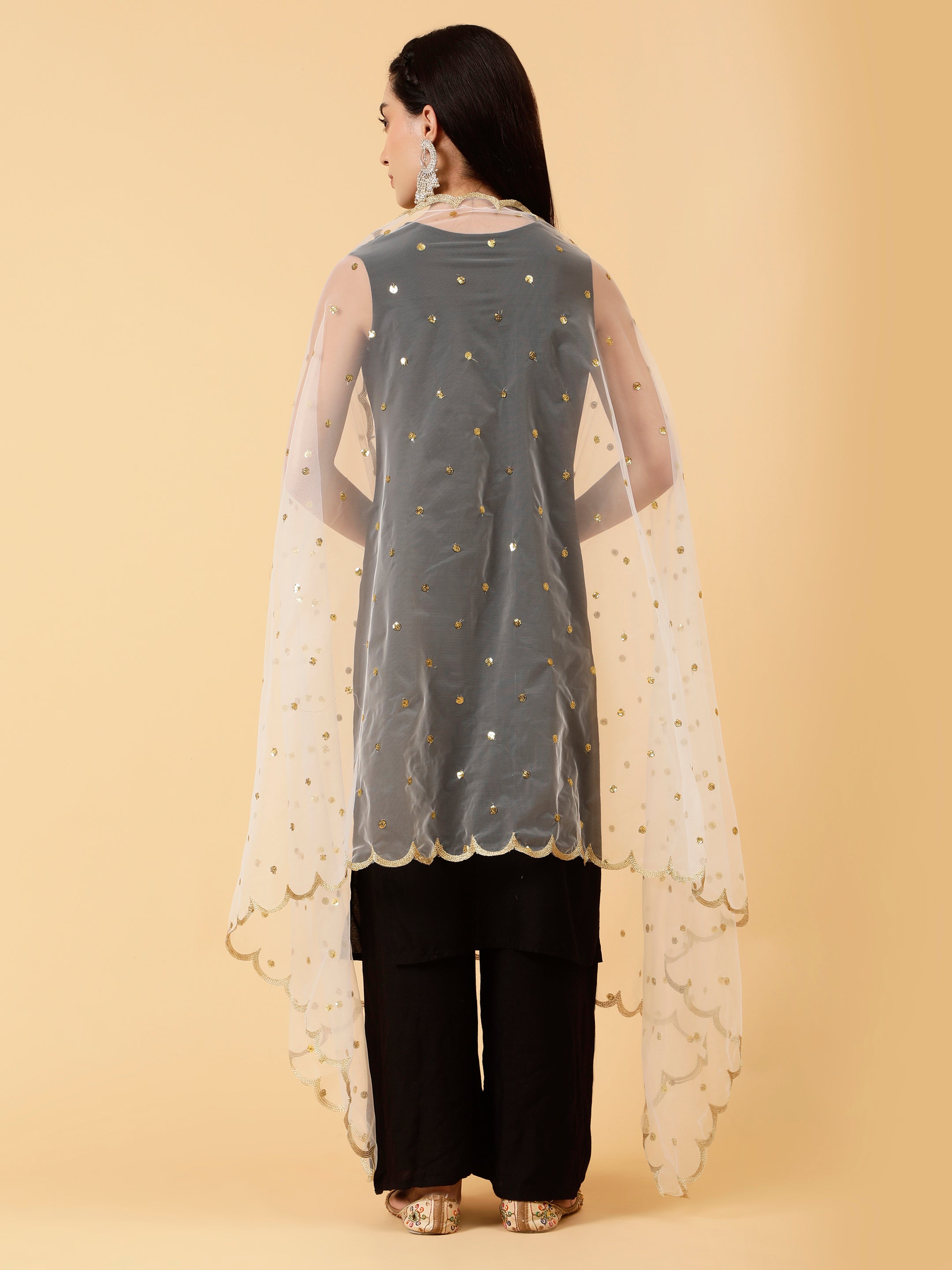 golden-sequinned-embroidered-net-dupatta-mcrcpd0245-4