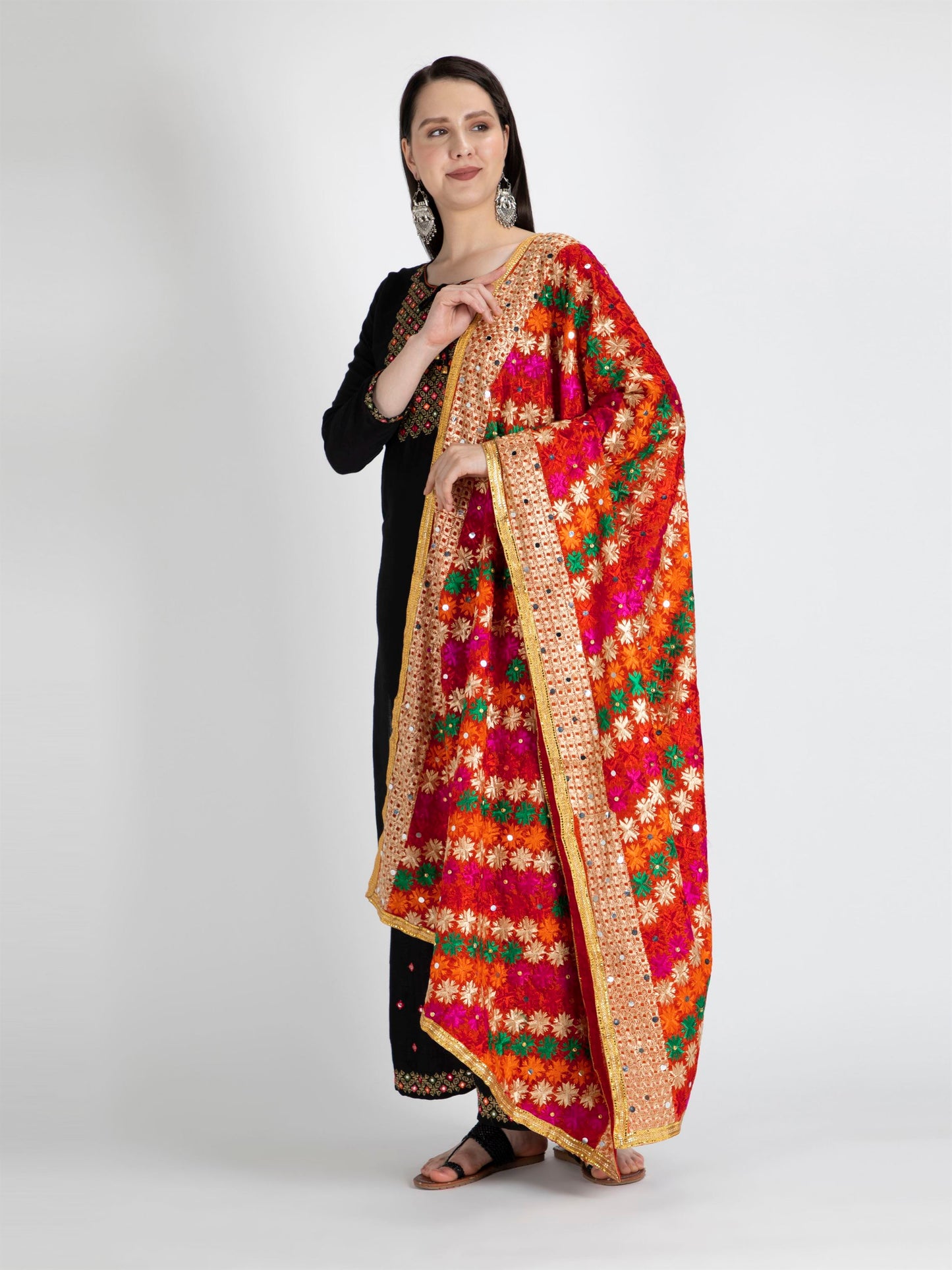 multicolour-phulkari-with-gold-lace-and-mirror-work-mcrcpd4045-4