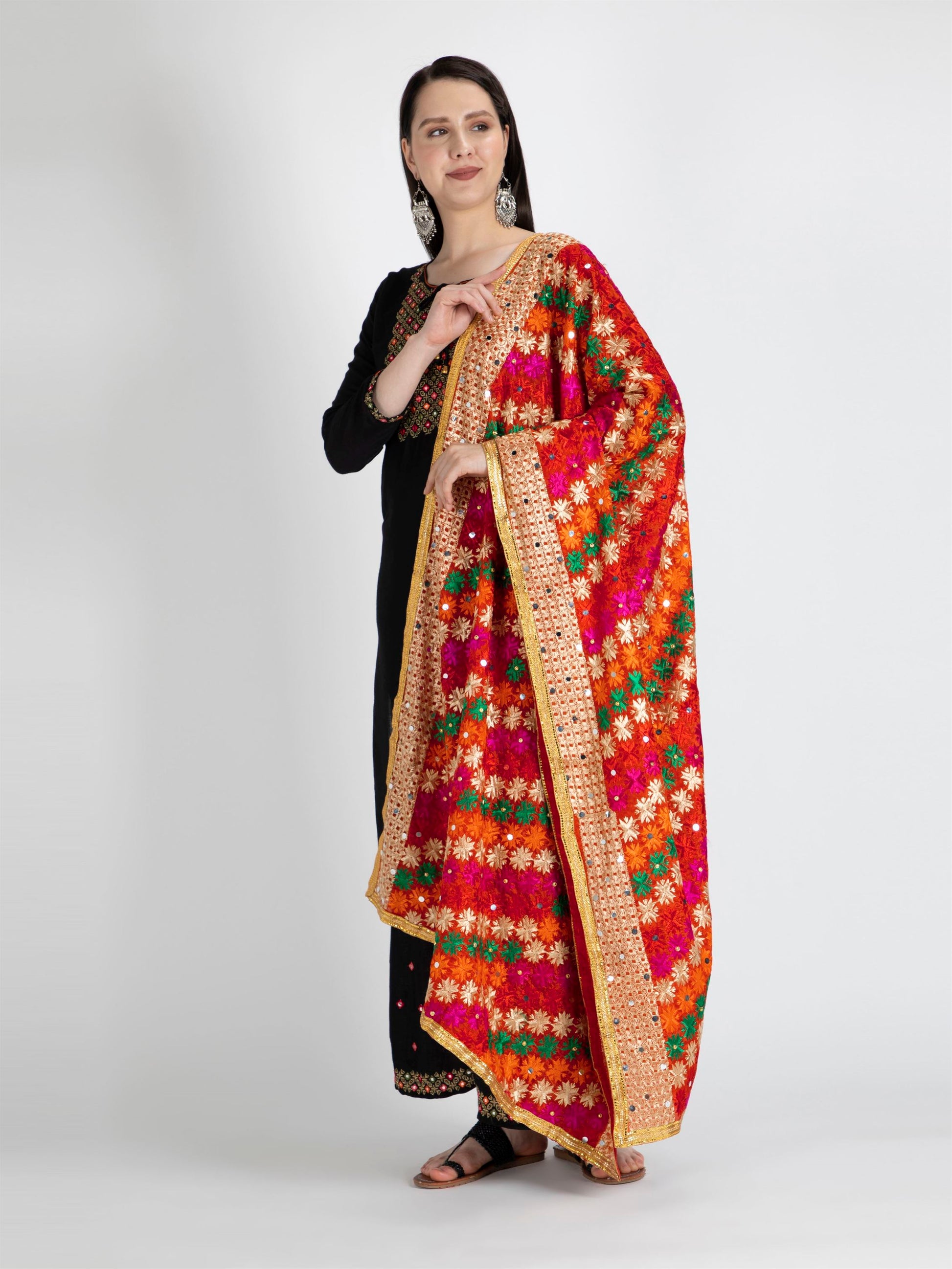 multicolour-phulkari-with-gold-lace-and-mirror-work-mcrcpd4045-4