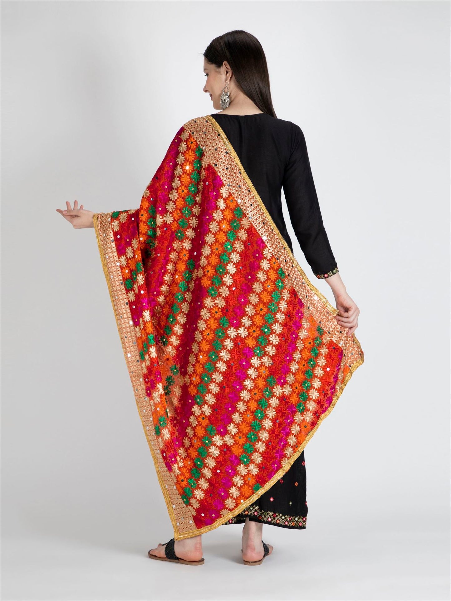 multicolour-phulkari-with-gold-lace-and-mirror-work-mcrcpd4045-5