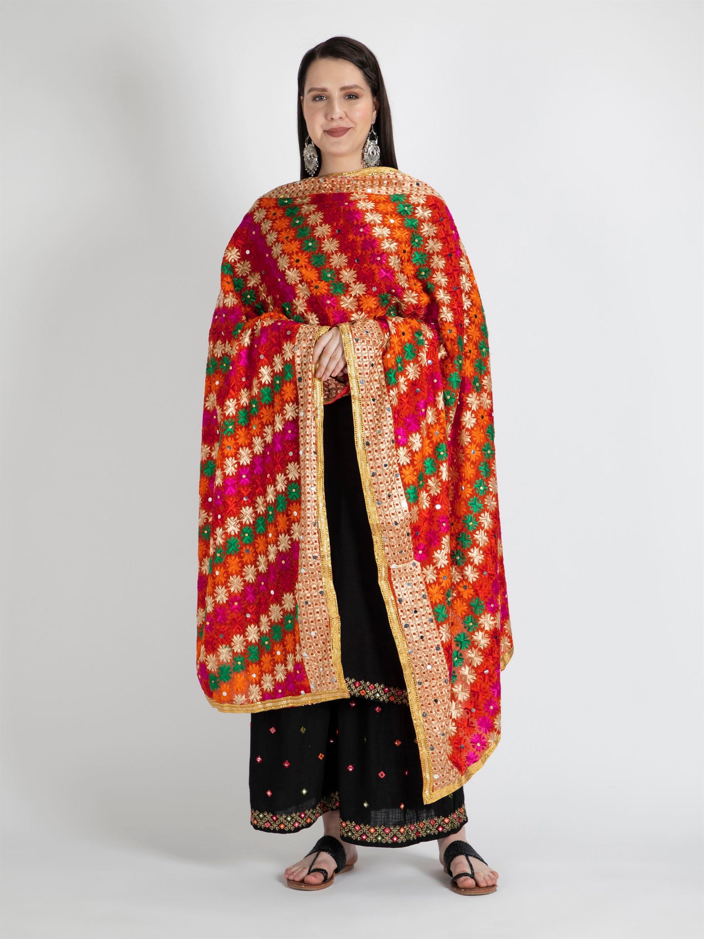 multicolour-phulkari-with-gold-lace-and-mirror-work-mcrcpd4045-6