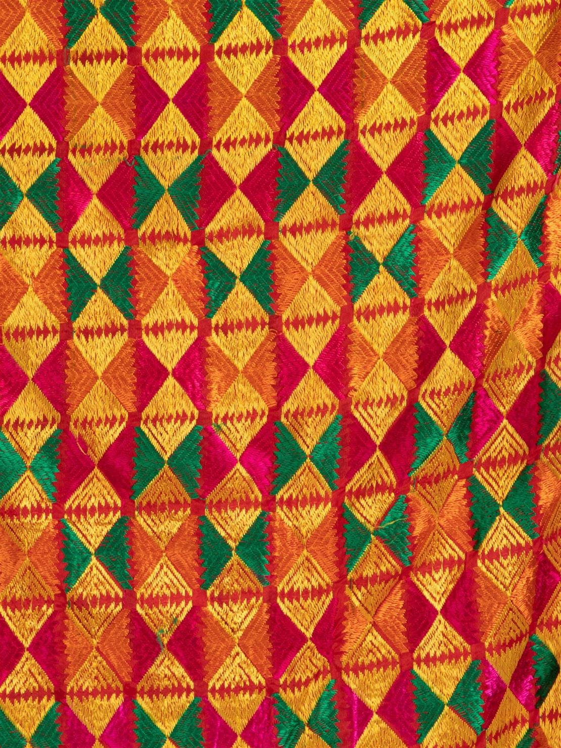 multicolour-phulkari-with-gold-lace-mcrcpd4046-6