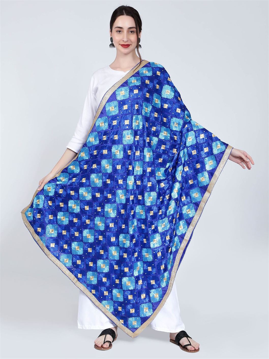 multicolour-phulkari-dupatta-royal-blue-and-sky-blue-mcrcpd4075-1