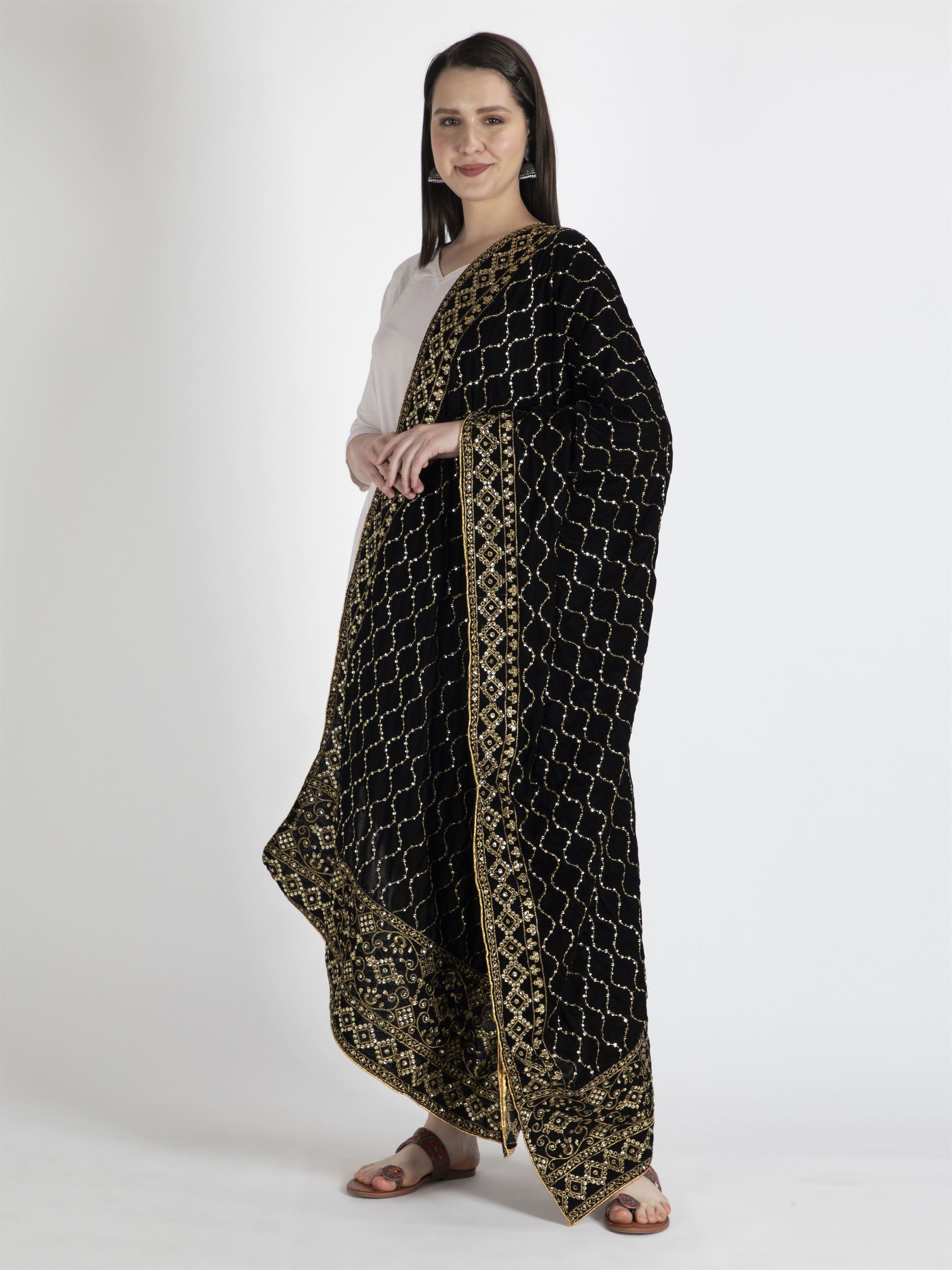 black embroidered velvet dupatta-MCRCVD7131-2