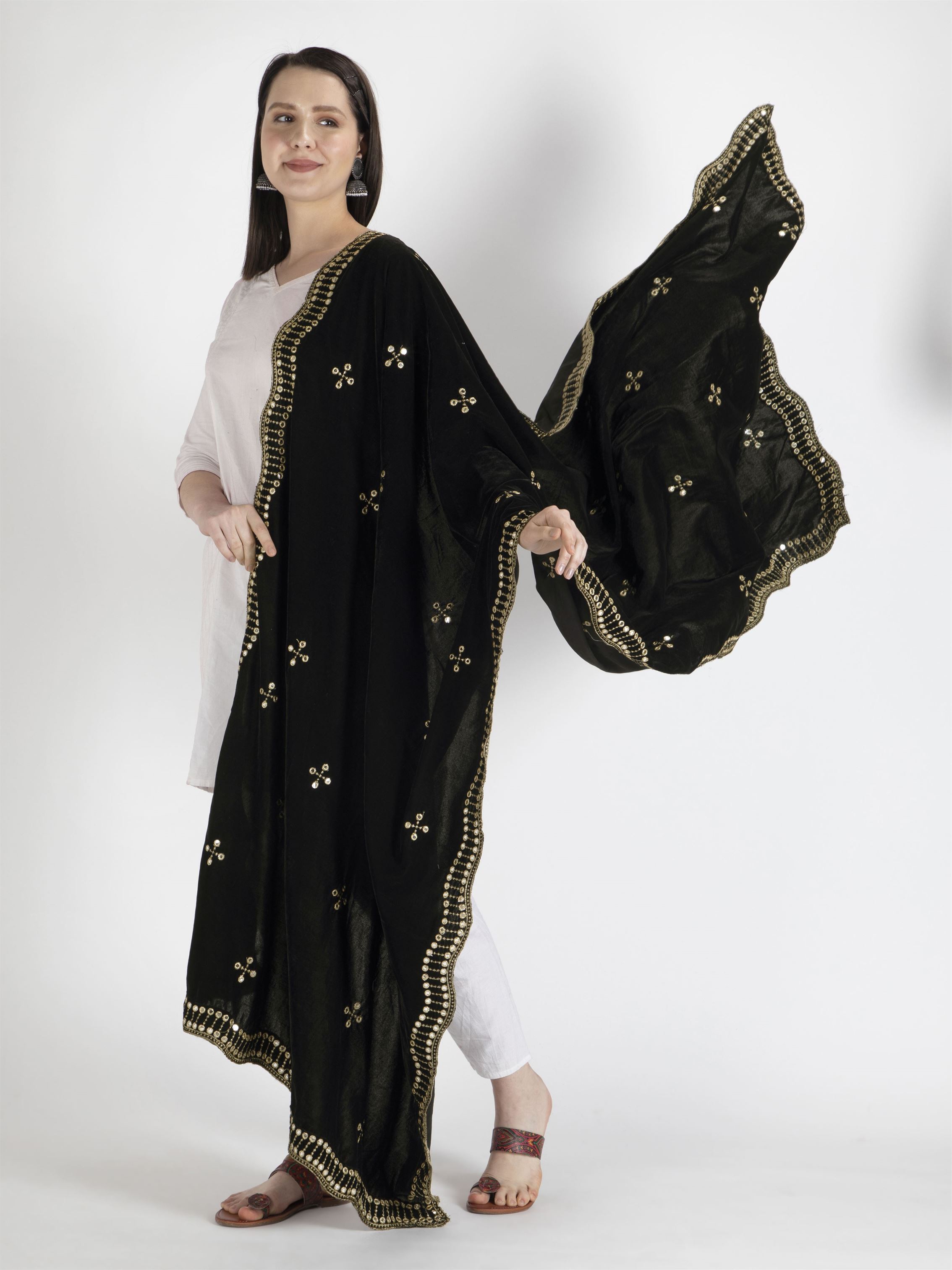 black embroidered velvet dupatta-MCRCVD7141-4