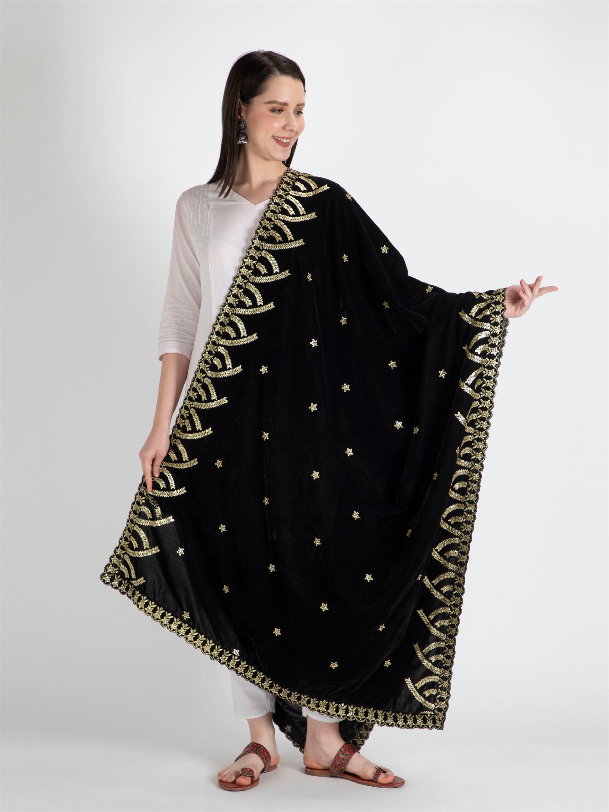 black embroidered velvet dupatta-MCRCVD7171-2