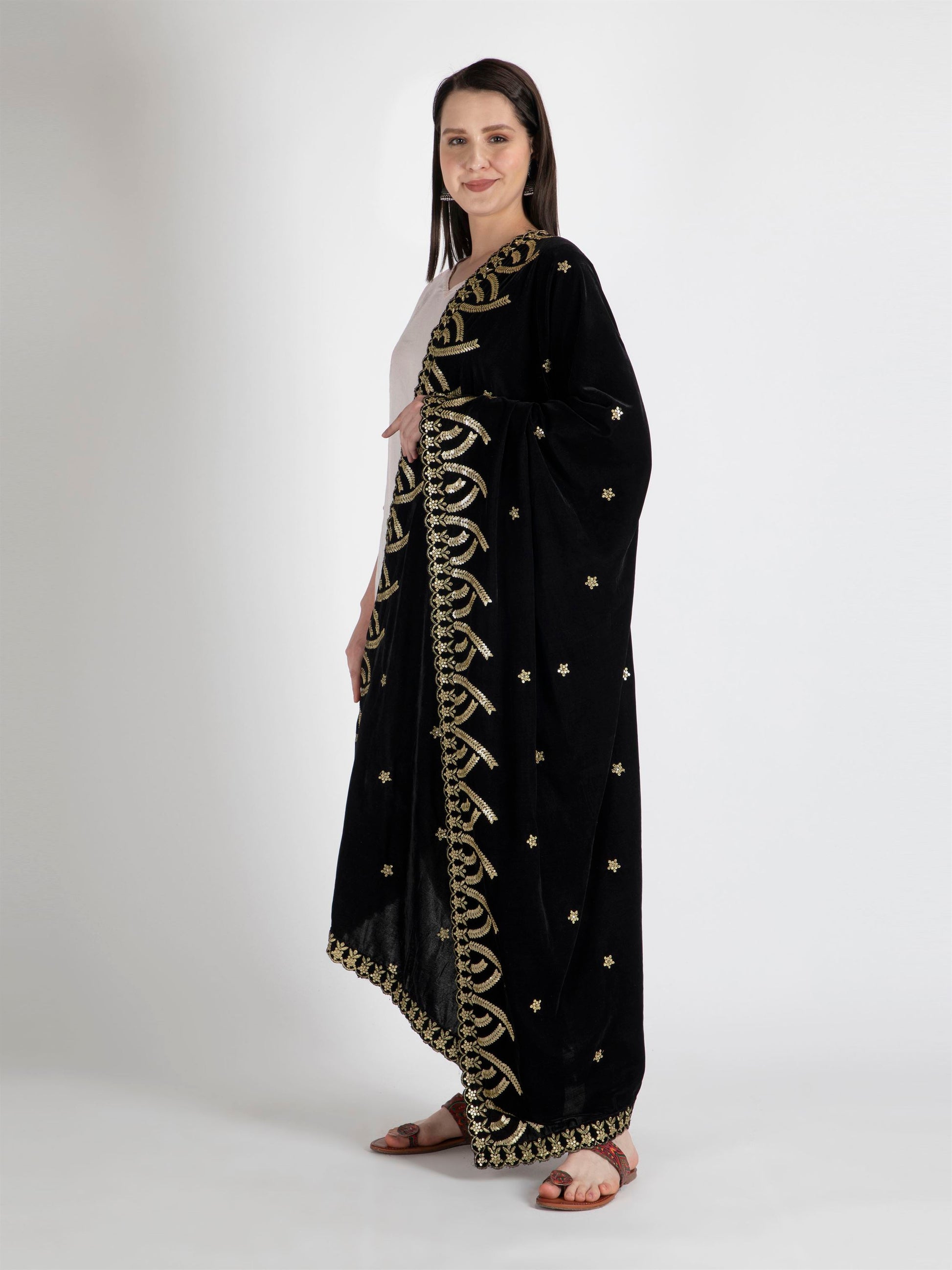 black embroidered velvet dupatta-MCRCVD7171-3