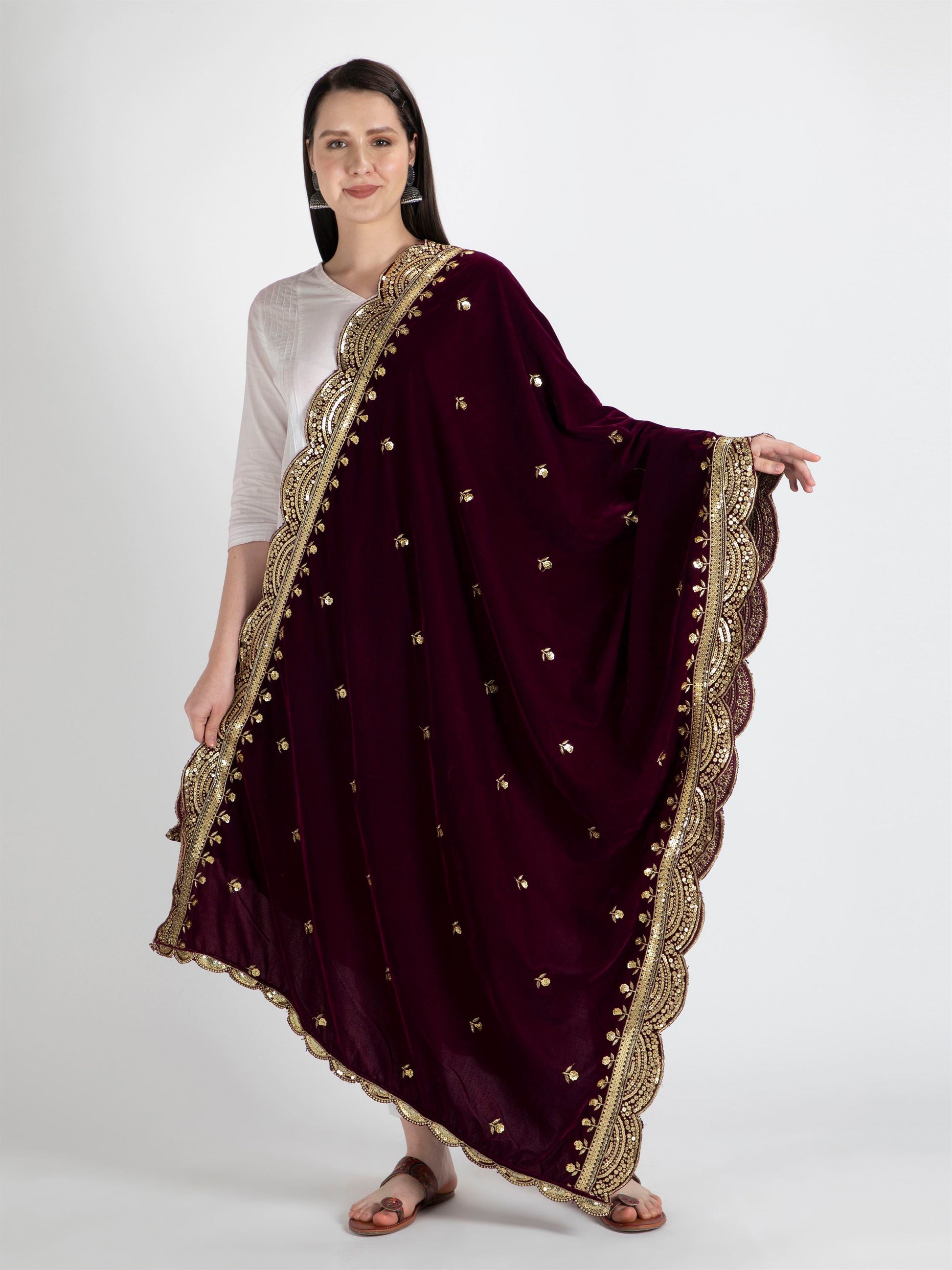 purple embroidered velvet dupatta-MCRCVD7182-1