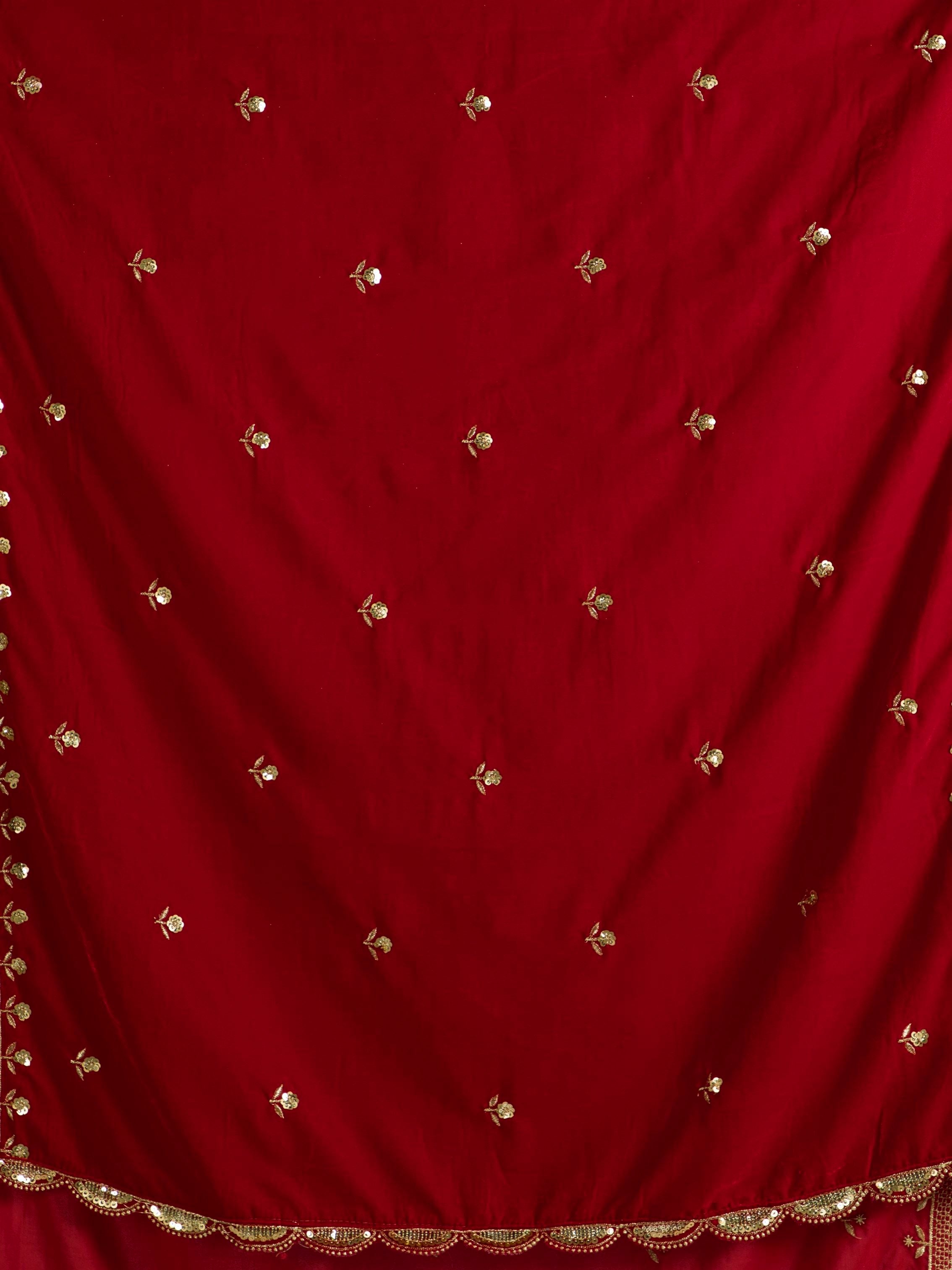 red embroidered velvet dupatta-MCRCVD7183-5