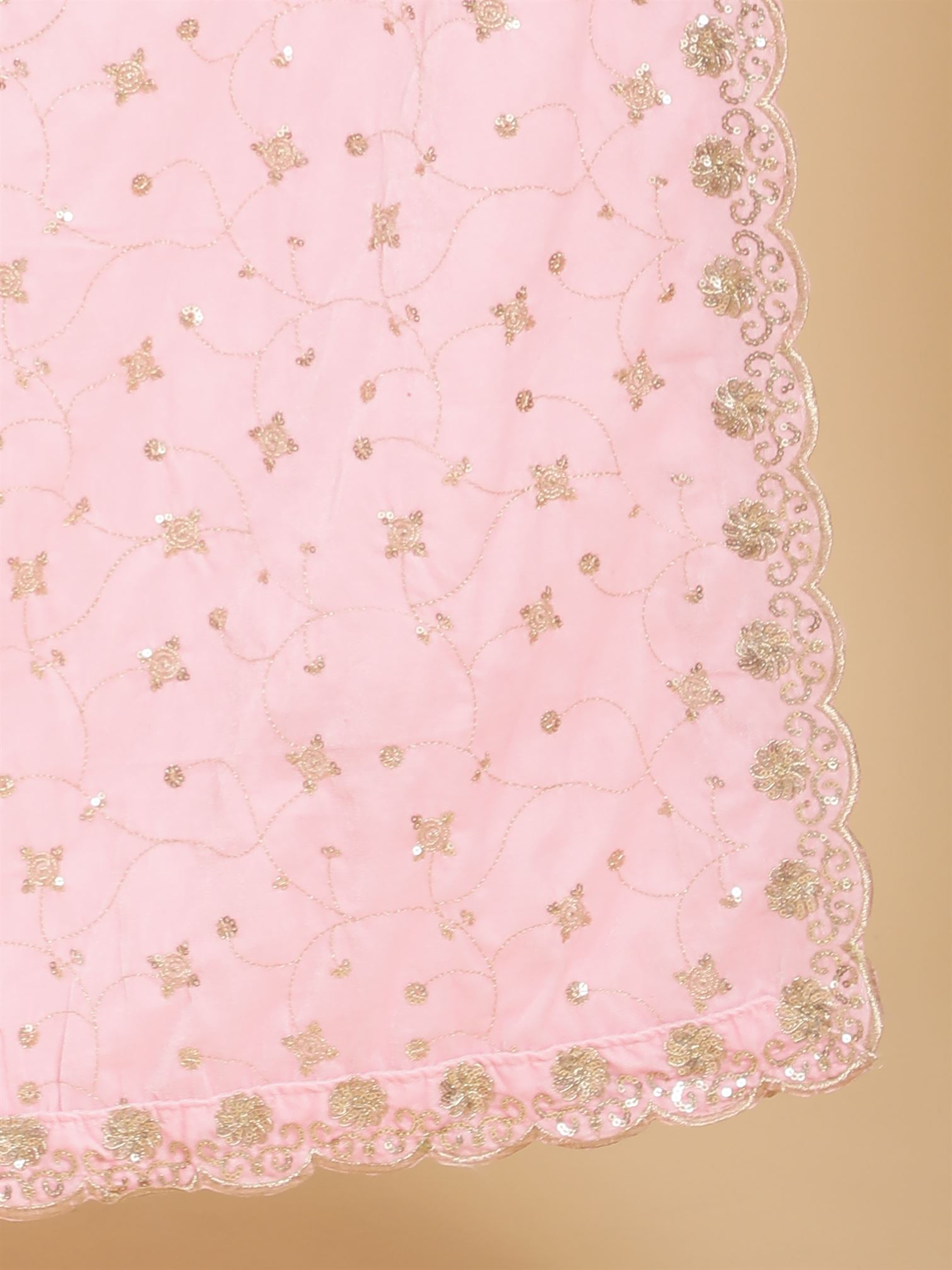 pink-embellished-velvet-dupatta-mcrcvd7199-moda-chales-6