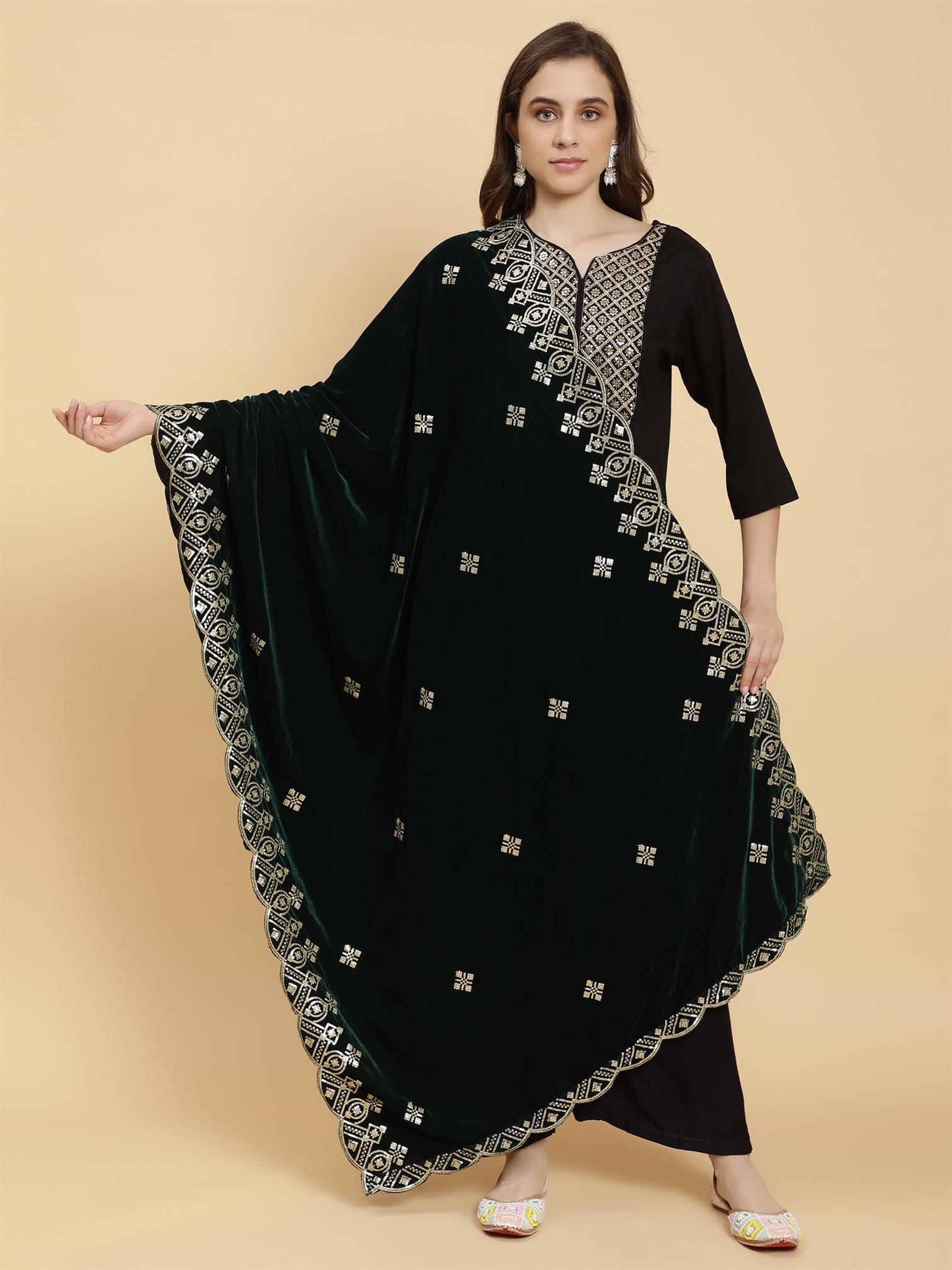 green-embellished-velvet-dupatta-MCRCVD7207