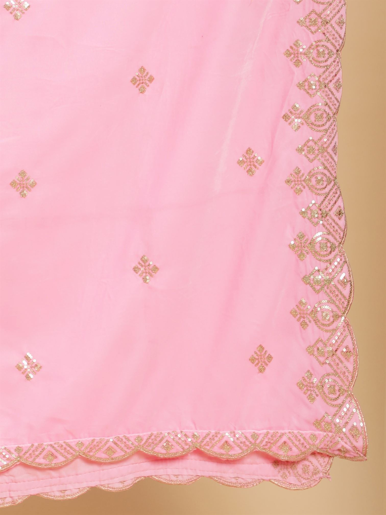 pink-embellished-velvet-dupatta-mcrcvd7209-moda-chales-8