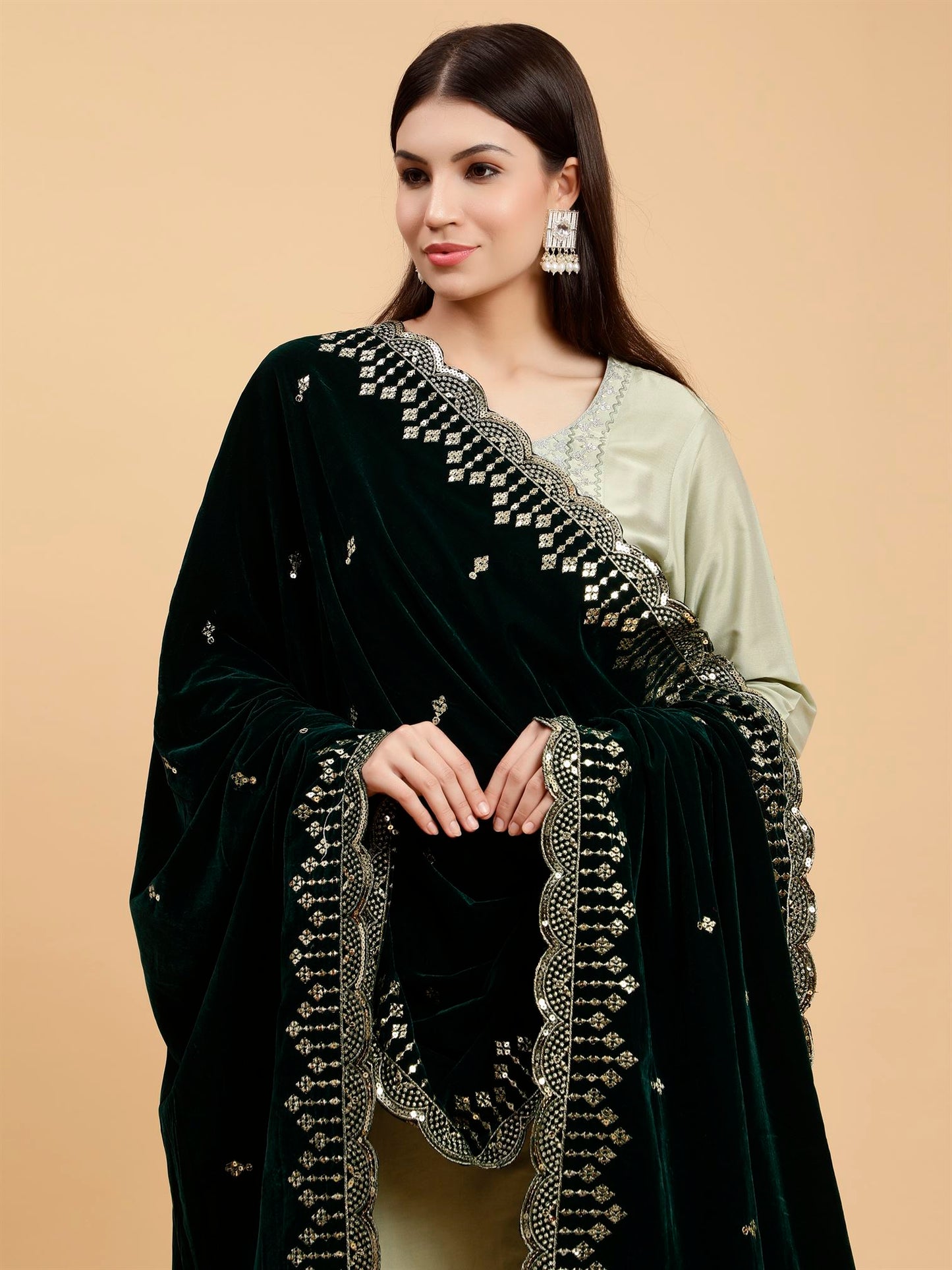 green-embellished-velvet-dupatta-mcrcvd7227-moda-chales-4