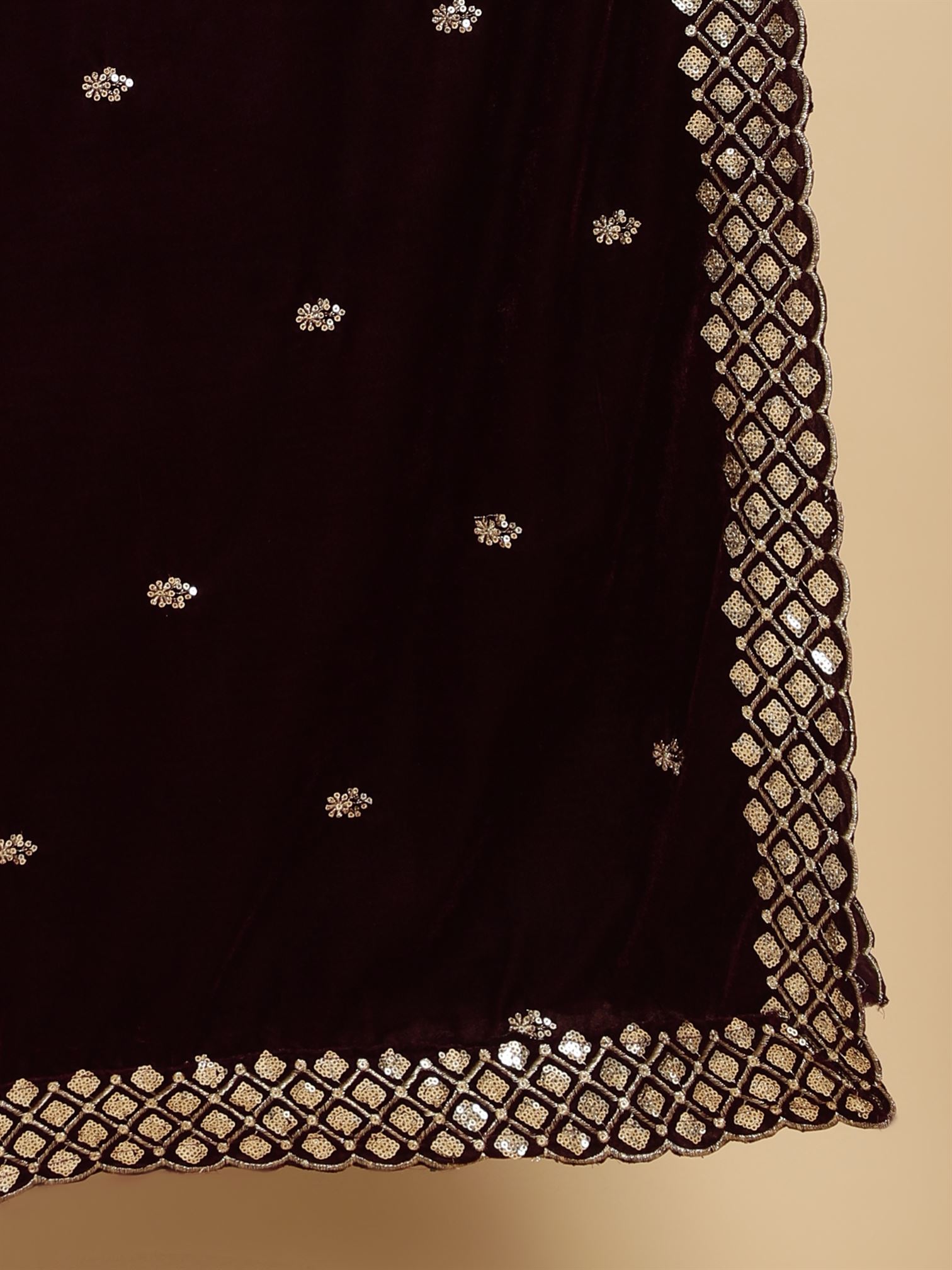 burgundy-embellished-velvet-dupatta-mcrcvd7302-moda-chales-7